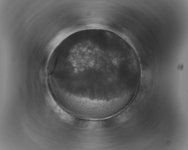 X0000113981381200911131045