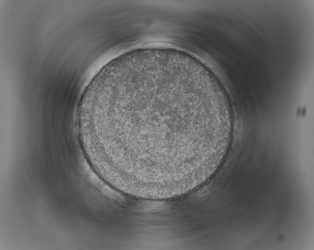 X0000113981382200911131045