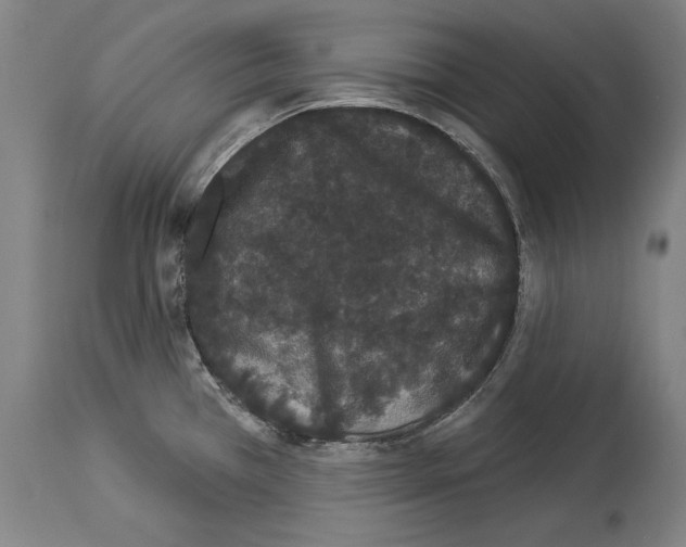X0000113981385200911131045