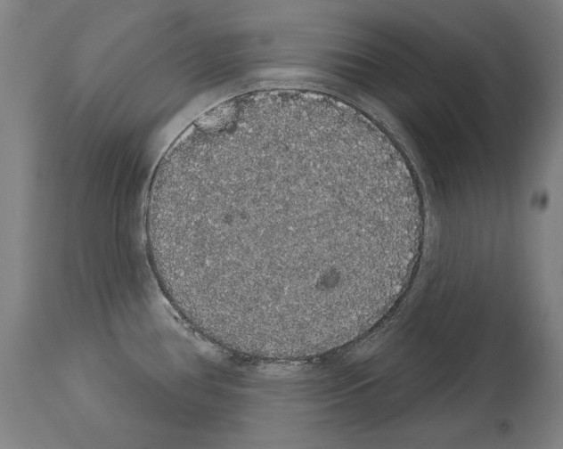 X0000113981386200911131045