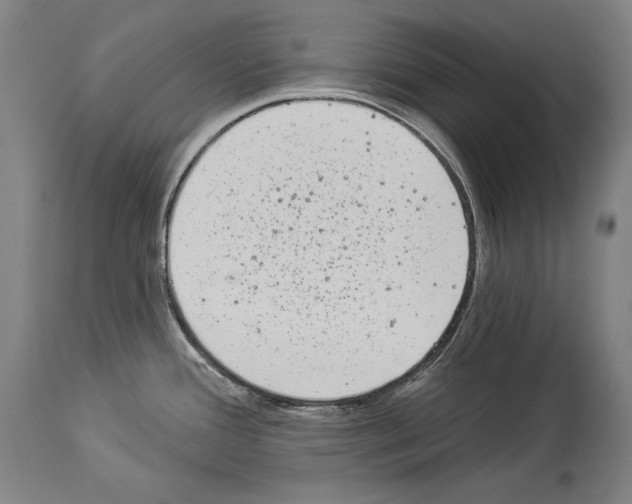 X0000113981388200911131045