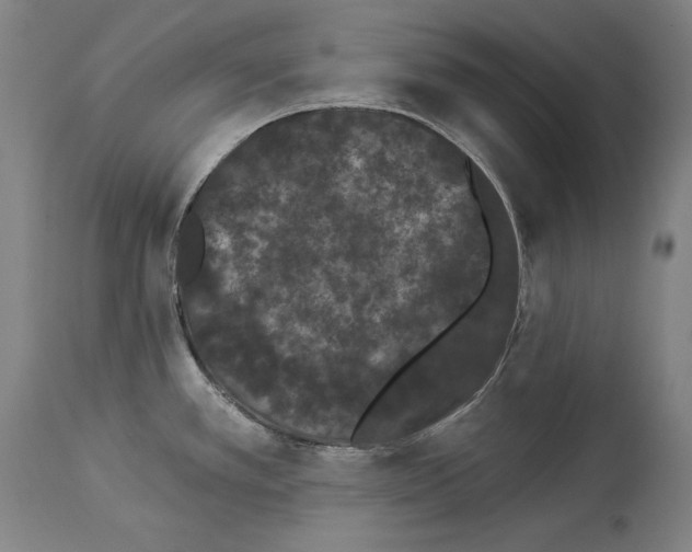 X0000113981389200911131045