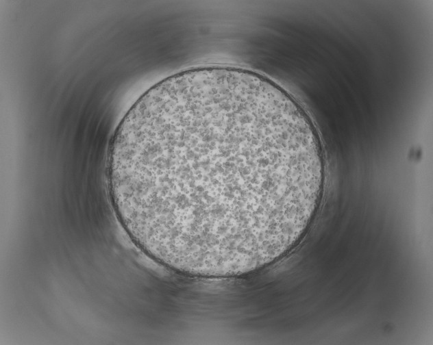 X0000113981390200911131045