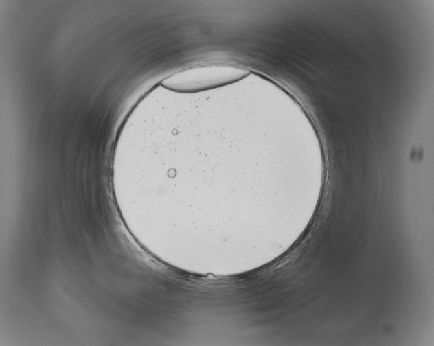 X0000113981392200911131045