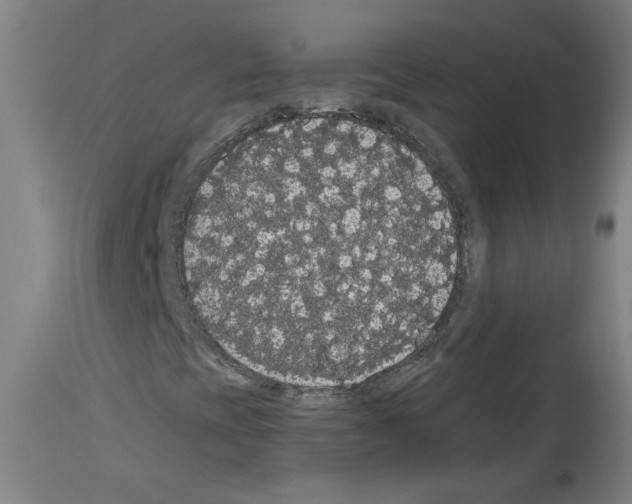 X0000113981393200911131044