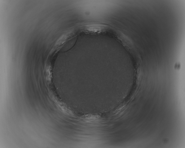 X0000113981394200911131044