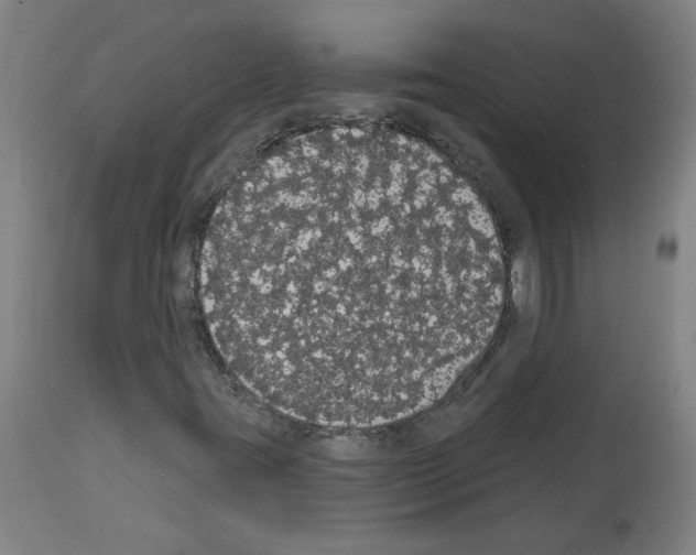 X0000113981395200911131044