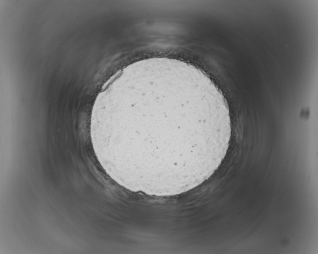 X0000113981396200911131044