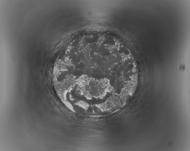 X0000113981397200911131044