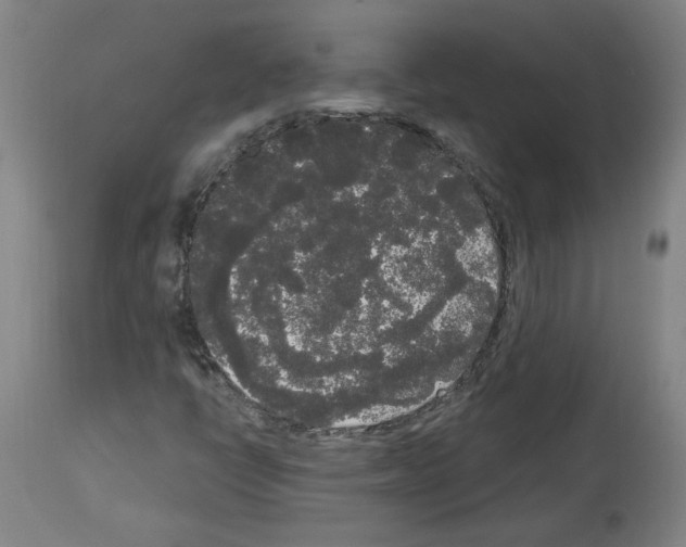 X0000113981398200911131044