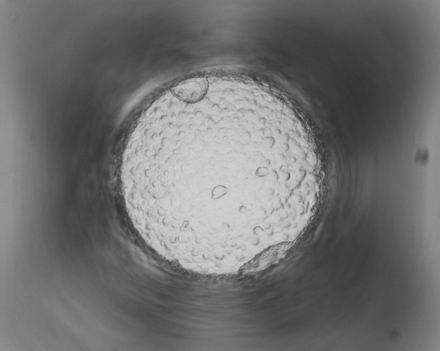 X0000113981400200911131044