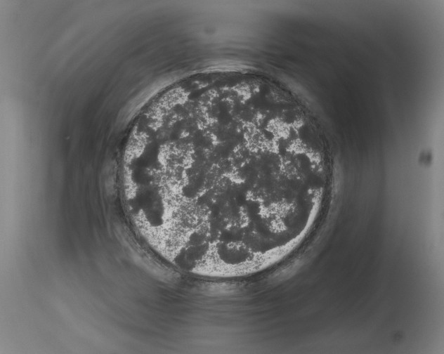 X0000113981401200911131044