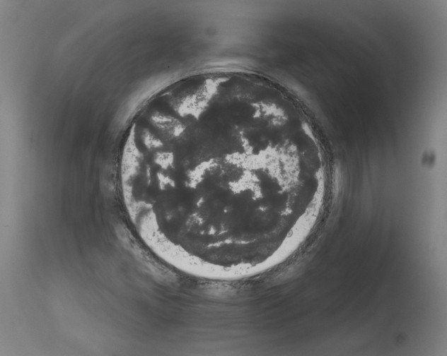 X0000113981405200911131044