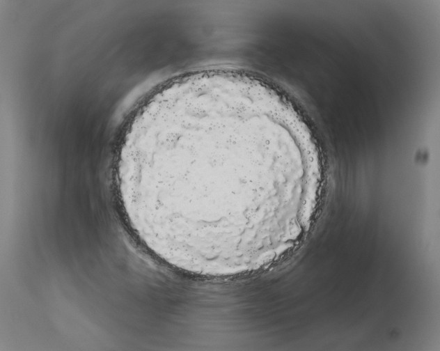 X0000113981406200911131044