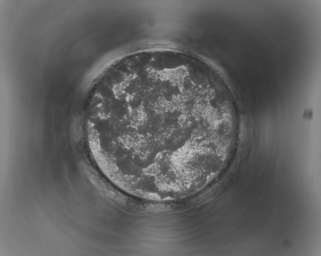 X0000113981407200911131044