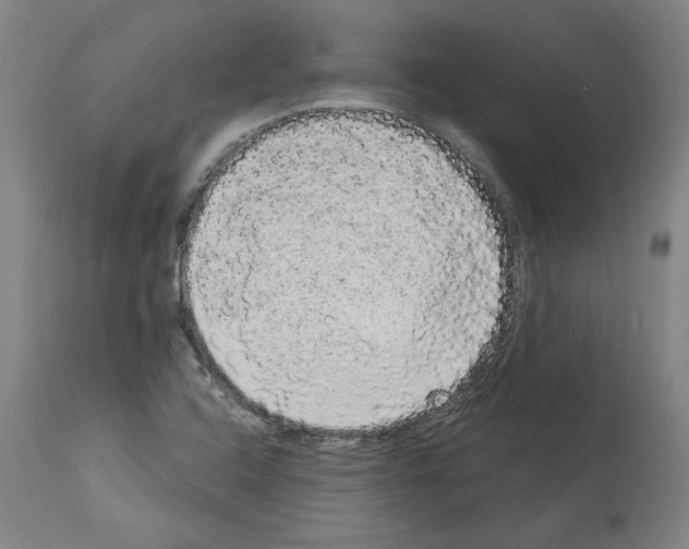 X0000113981408200911131044