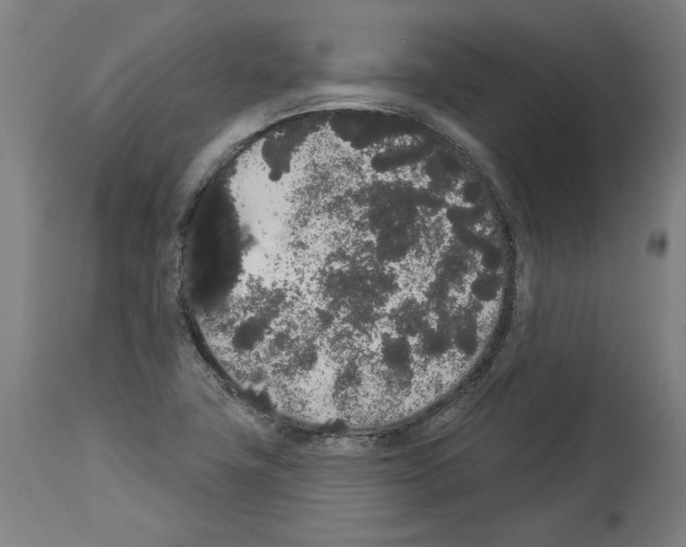 X0000113981411200911131044