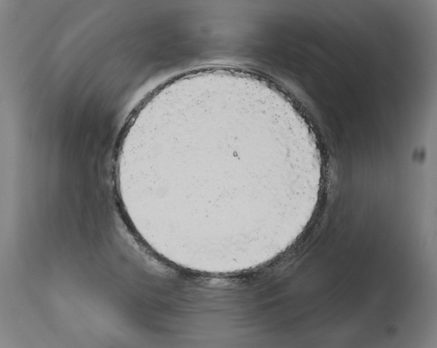 X0000113981412200911131044