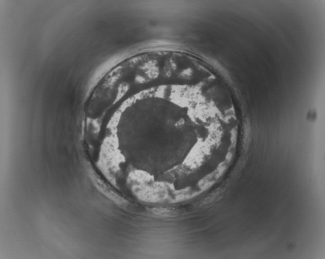 X0000113981413200911131044
