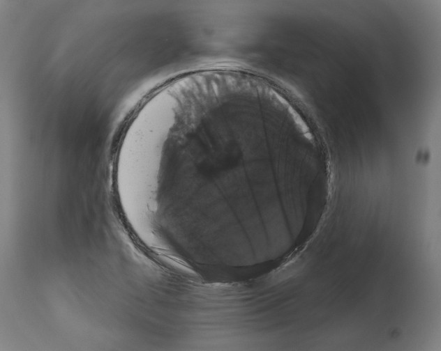 X0000113981414200911131044