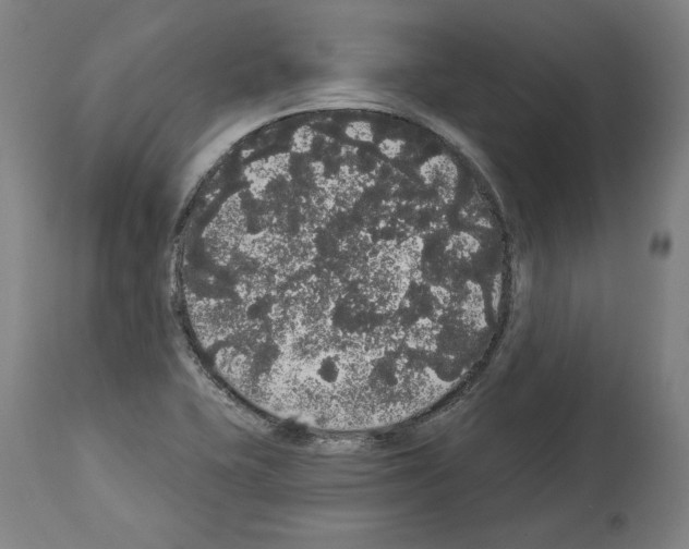 X0000113981415200911131045