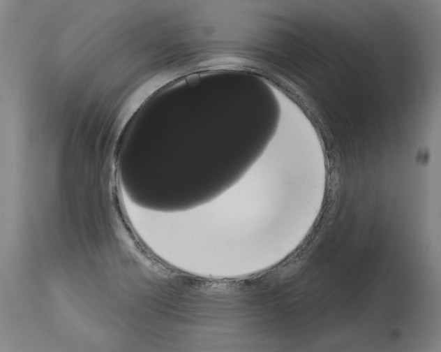 X0000113981418200911131045