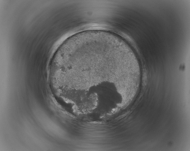 X0000113981419200911131045
