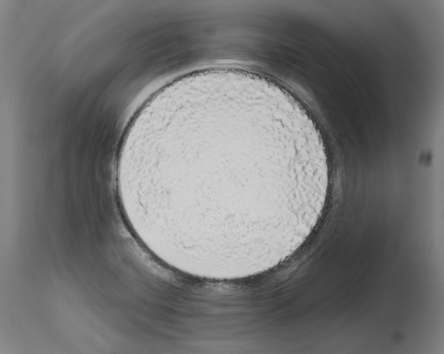X0000113981420200911131045