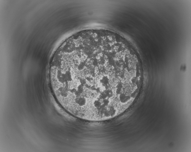 X0000113981421200911131045