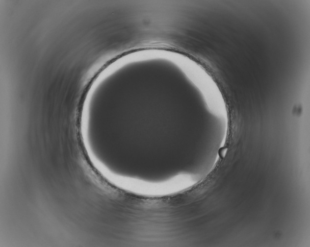 X0000113981422200911131045