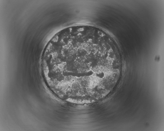 X0000113981423200911131045