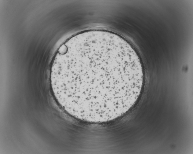 X0000113981424200911131045