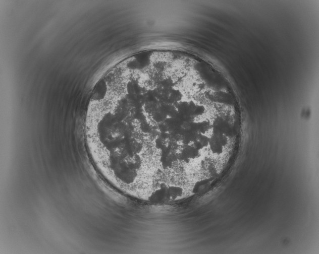 X0000113981425200911131045
