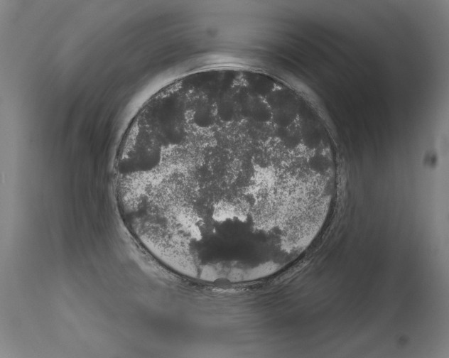 X0000113981427200911131045