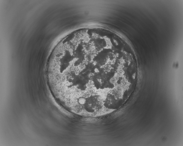 X0000113981429200911131045