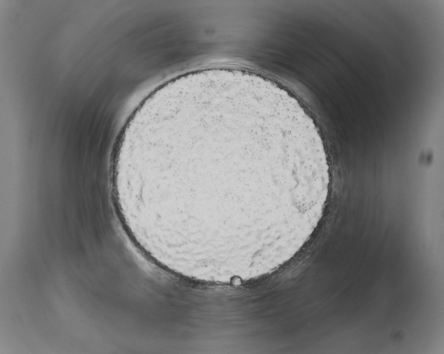 X0000113981430200911131045