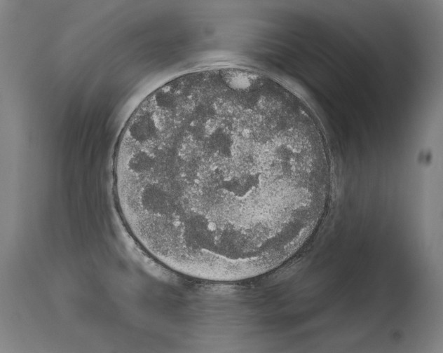 X0000113981431200911131045
