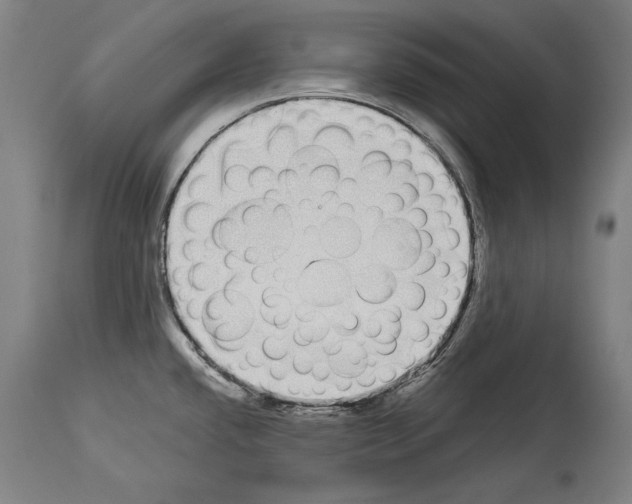 X0000113981432200911131045
