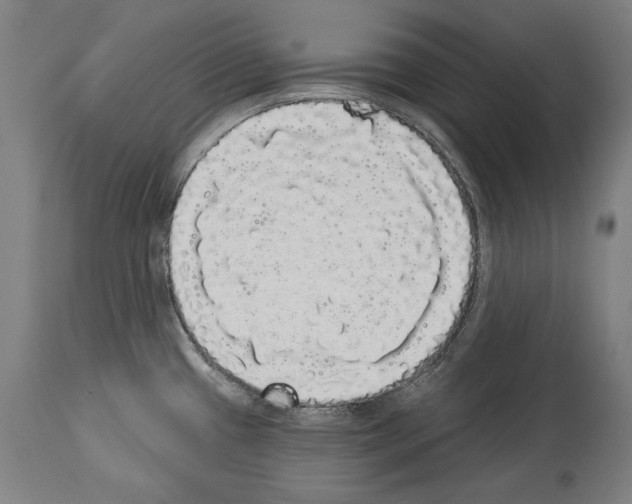 X0000113981433200911131045