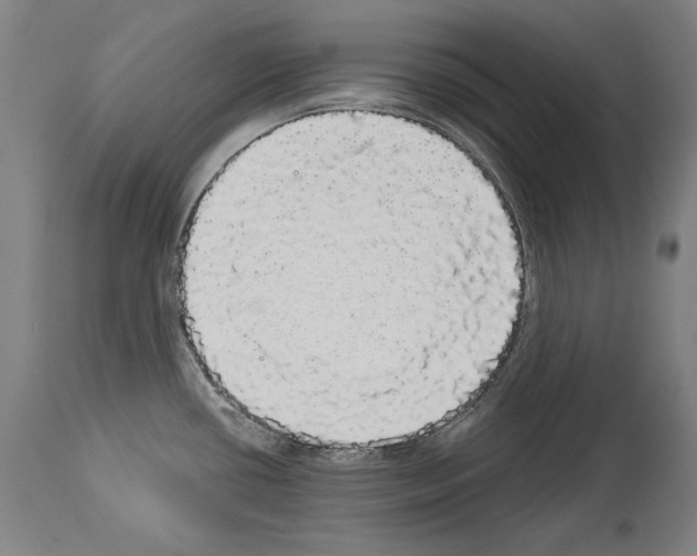 X0000113981434200911131045