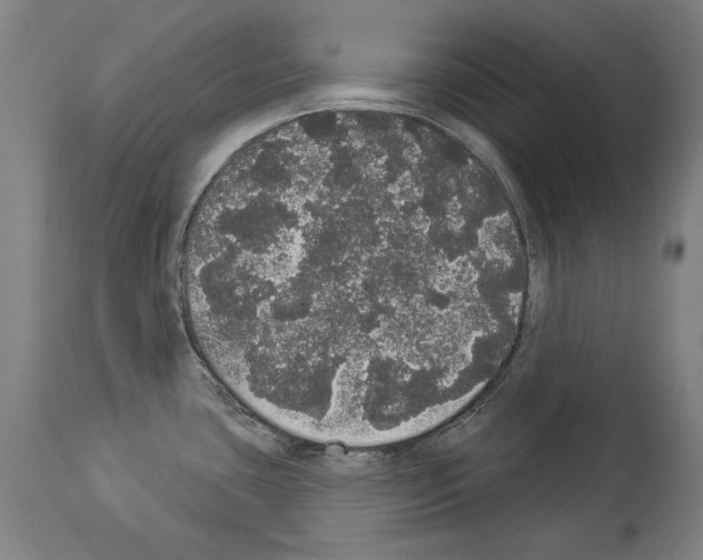 X0000113981435200911131045
