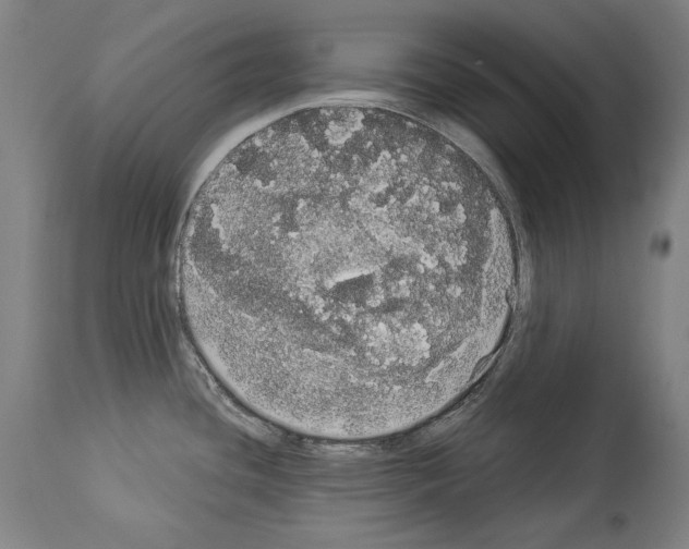 X0000113981436200911131045