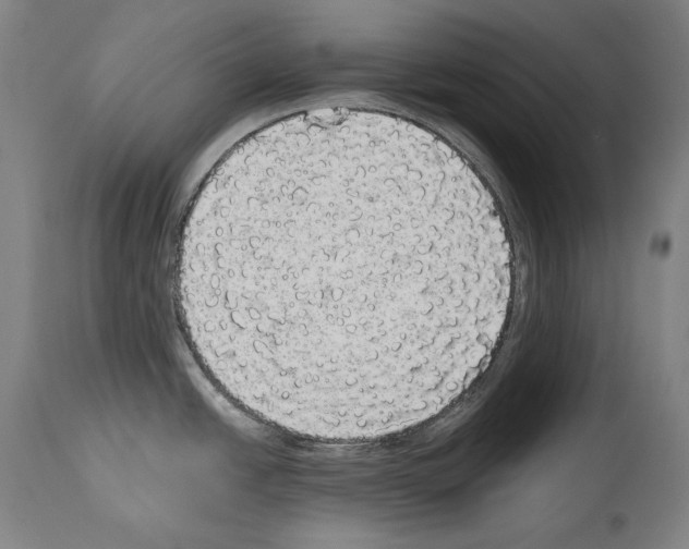 X0000113981438200911131045