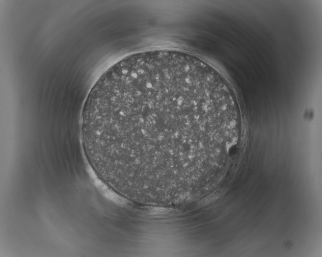 X0000113981439200911131045