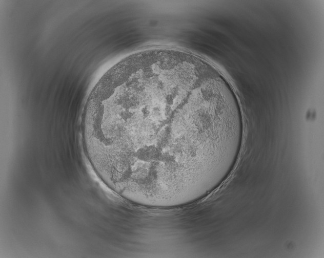 X0000113981440200911131045