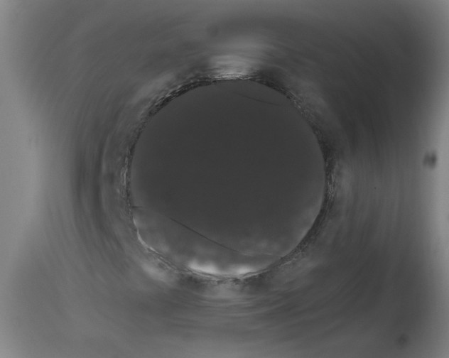 X0000113981441200911131044