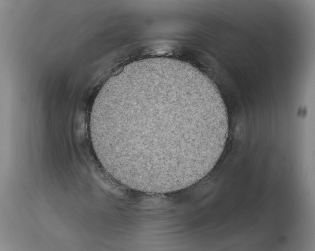 X0000113981442200911131044
