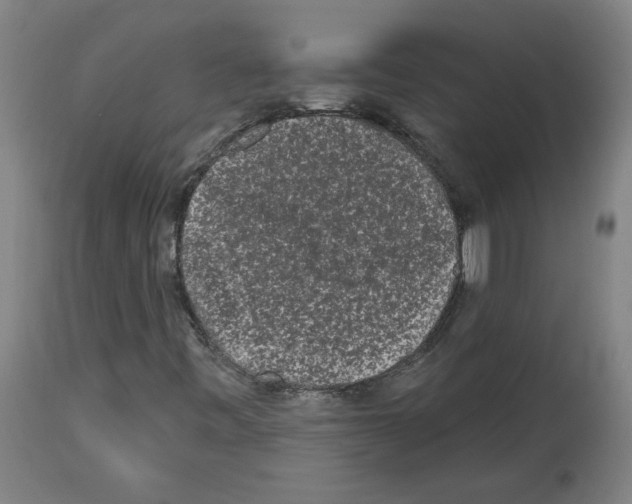 X0000113981443200911131044