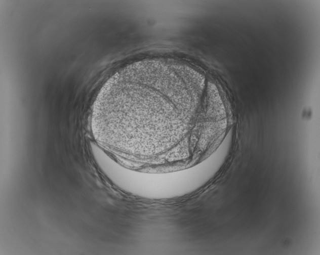 X0000113981445200911131044