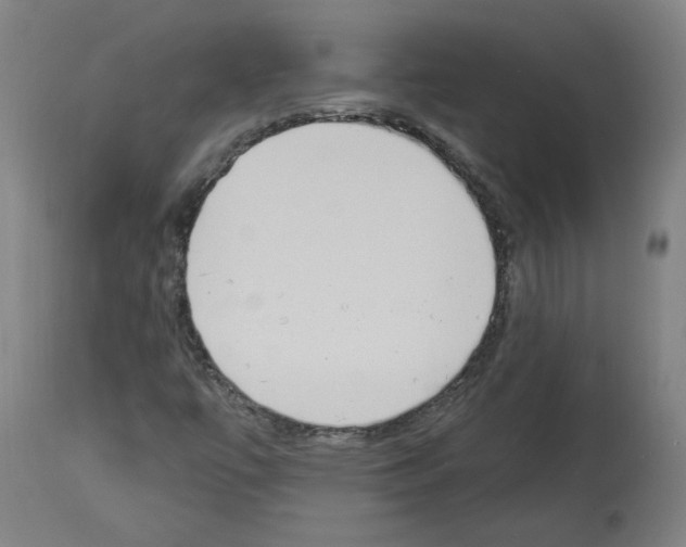 X0000113981447200911131044